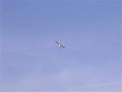 PICT1621.JPG